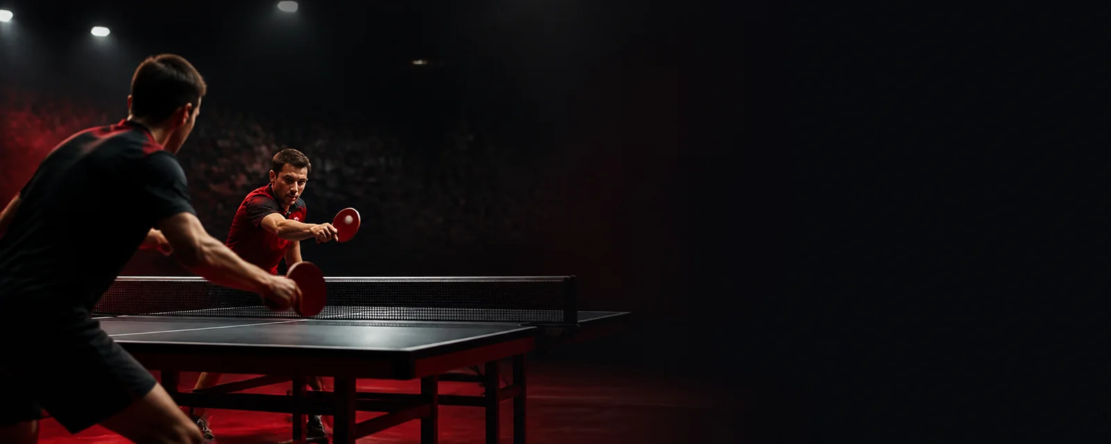 Voksne bordtennisspillere